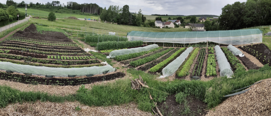 Ein Aktiv des Kollektivs, © Gemuesebund Ein Aktiv des Kollektivs, © Gemuesebund
