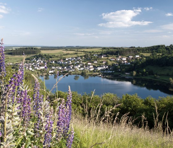 Schalkenmehrener Maar Sommer 2 Schalkenmehrener Maar Sommer 2