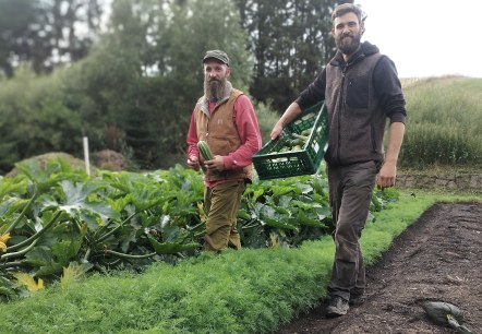 Bei der Ernte, © Gemuesebund Bei der Ernte, © Gemuesebund
