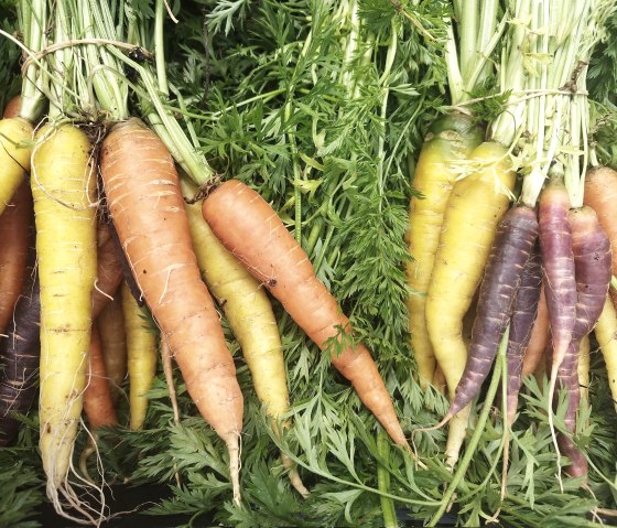 Leckere Biomöhren, © Gemuesebund Leckere Biomöhren, © Gemuesebund