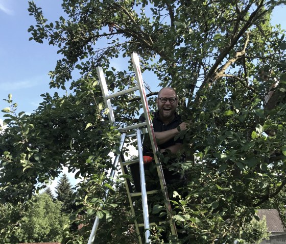 Baumpflege, © Andreas Hesse Baumpflege, © Andreas Hesse