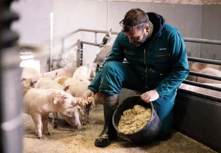 Fütterung der Ferkel, © Zukunftsinitiative Eifel (c) Lars May Fütterung der Ferkel, © Zukunftsinitiative Eifel (c) Lars May