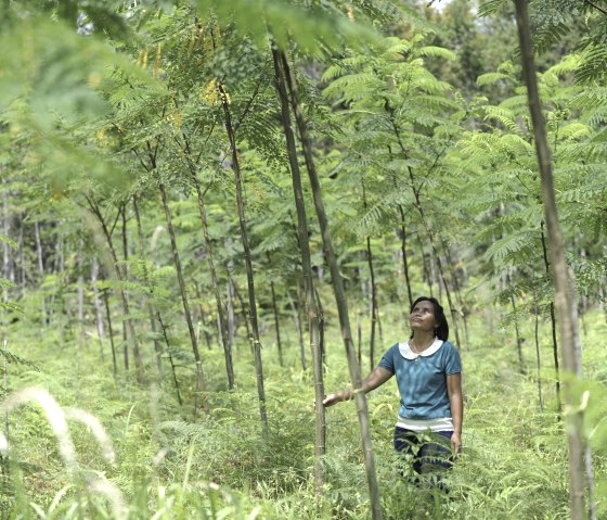 Aufforstungsprojekt von X-Wood® in Uganda, © X-Wood Concept GmbH Aufforstungsprojekt von X-Wood® in Uganda, © X-Wood Concept GmbH