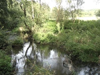 Am Alfbach, © Fam. Fischer Am Alfbach, © Fam. Fischer