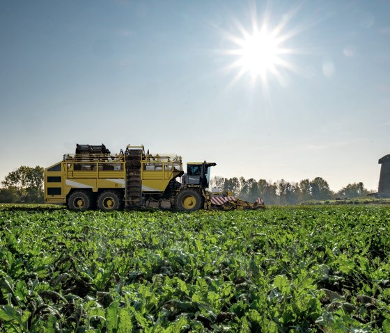 Auf dem Feld, © Pfeifer & Langen GmbH & Co. KG Auf dem Feld, © Pfeifer & Langen GmbH & Co. KG