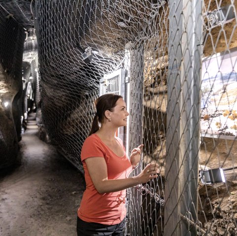 Im Ulmener Maar-Stollen, © Eifel Tourismus GmbH, AR-shapefruit AG Im Ulmener Maar-Stollen, © Eifel Tourismus GmbH, AR-shapefruit AG