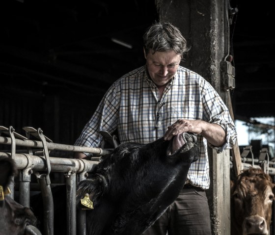 Fütterung, © Hofgut Sachsen-Wagner Fütterung, © Hofgut Sachsen-Wagner