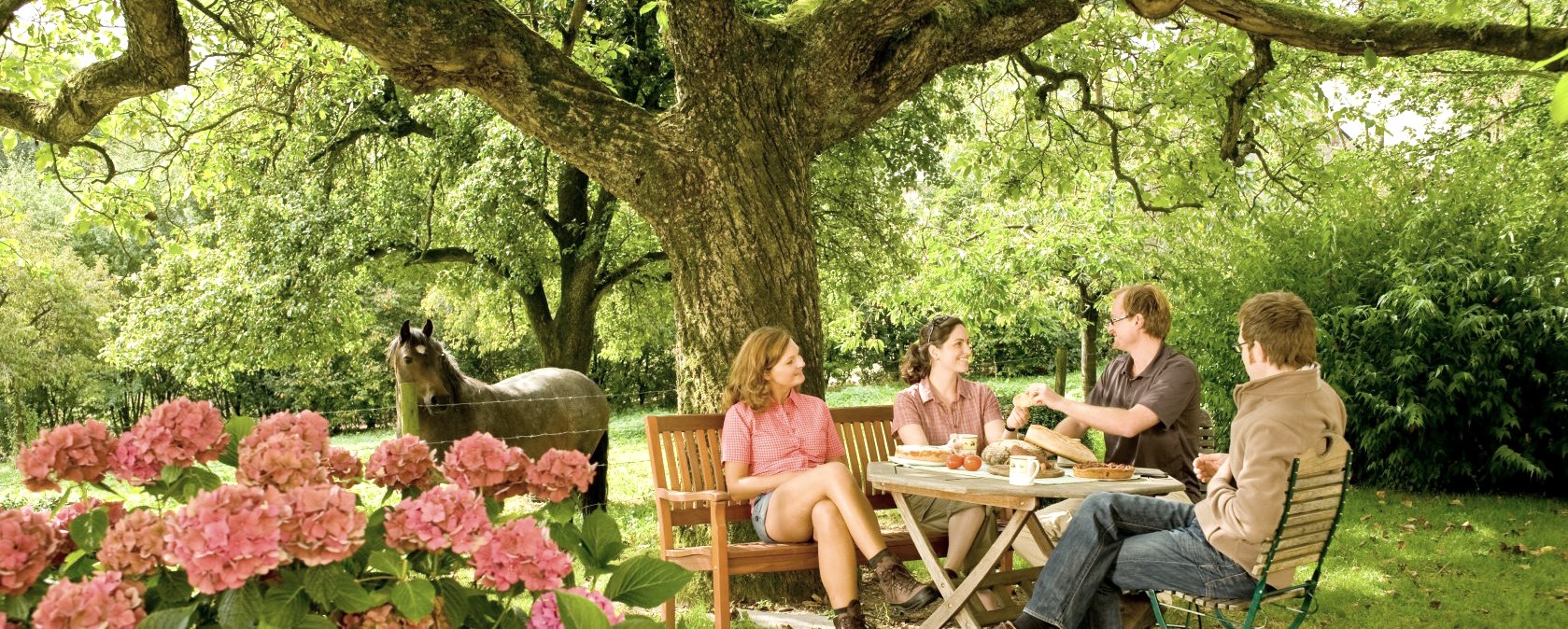 Landleben Keyvisual, © Eifel Tourismus GmbH, Dominik Ketz Landleben Keyvisual, © Eifel Tourismus GmbH, Dominik Ketz