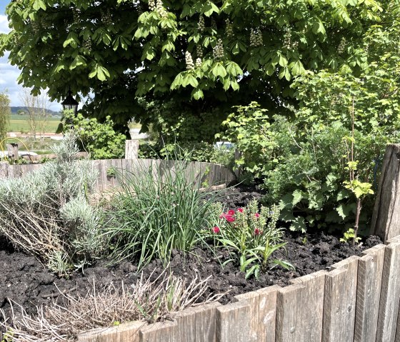 Hochbeet auf dem Hof Breit, © Eifel Tourismus GmbH/Angelika Koch Hochbeet auf dem Hof Breit, © Eifel Tourismus GmbH/Angelika Koch