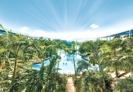 Das Palmenparadies mit echten Palmen, © Therme Euskirchen Das Palmenparadies mit echten Palmen, © Therme Euskirchen