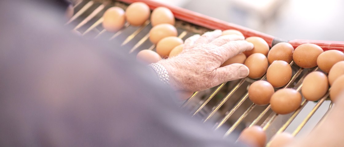 Die Abpackanlage auf dem Geflügelhof, © Familie Eich Die Abpackanlage auf dem Geflügelhof, © Familie Eich