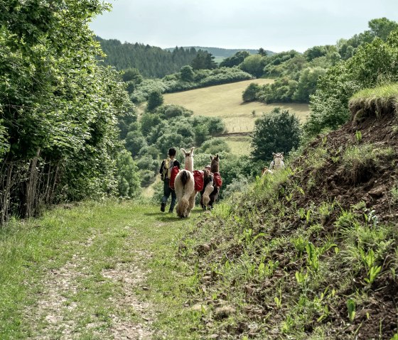 Die Wanderungen führen durch die Schönecker Schweiz, © nomad Die Wanderungen führen durch die Schönecker Schweiz, © nomad