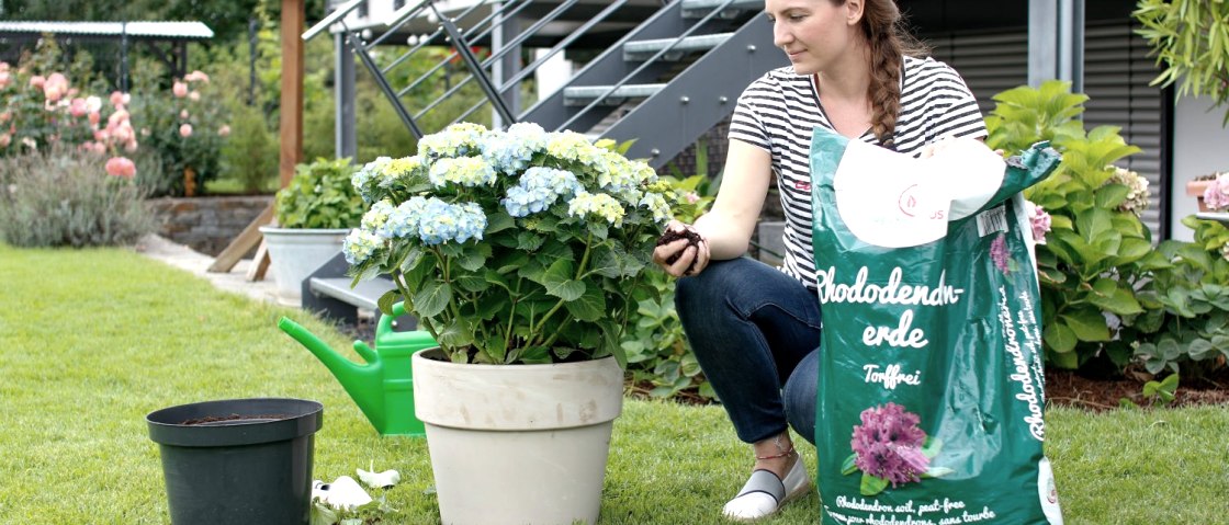 Presto Humus Gärtnern, © Presto Humus GmbH Presto Humus Gärtnern, © Presto Humus GmbH