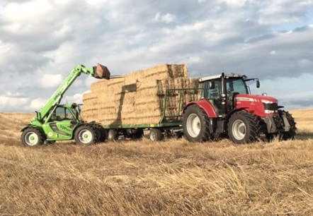 Thome-Bormann-Landwirtschaft, © Thome-Bormann Thome-Bormann-Landwirtschaft, © Thome-Bormann