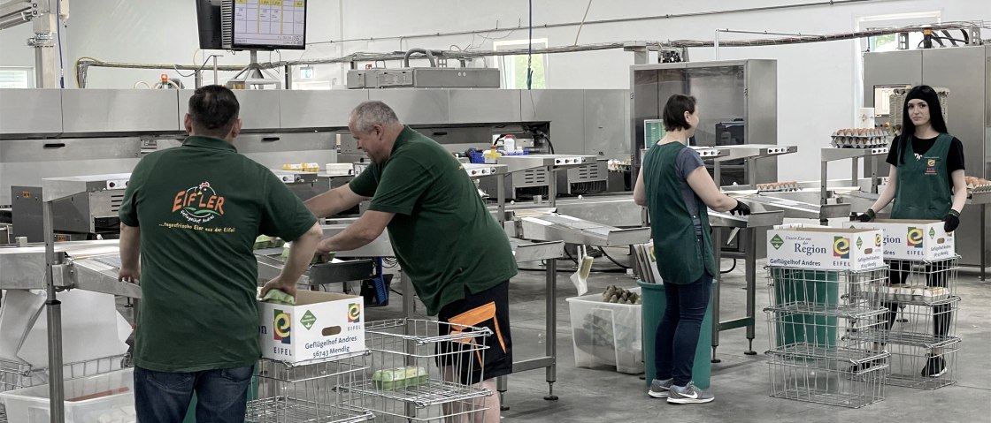 Eier Produktion, © Geflügelhof Andres Eier Produktion, © Geflügelhof Andres