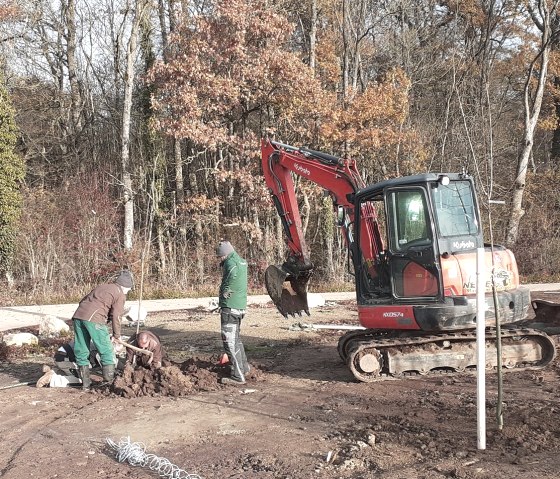 Apfel-Baumpflanzaktion Apfel-Baumpflanzaktion