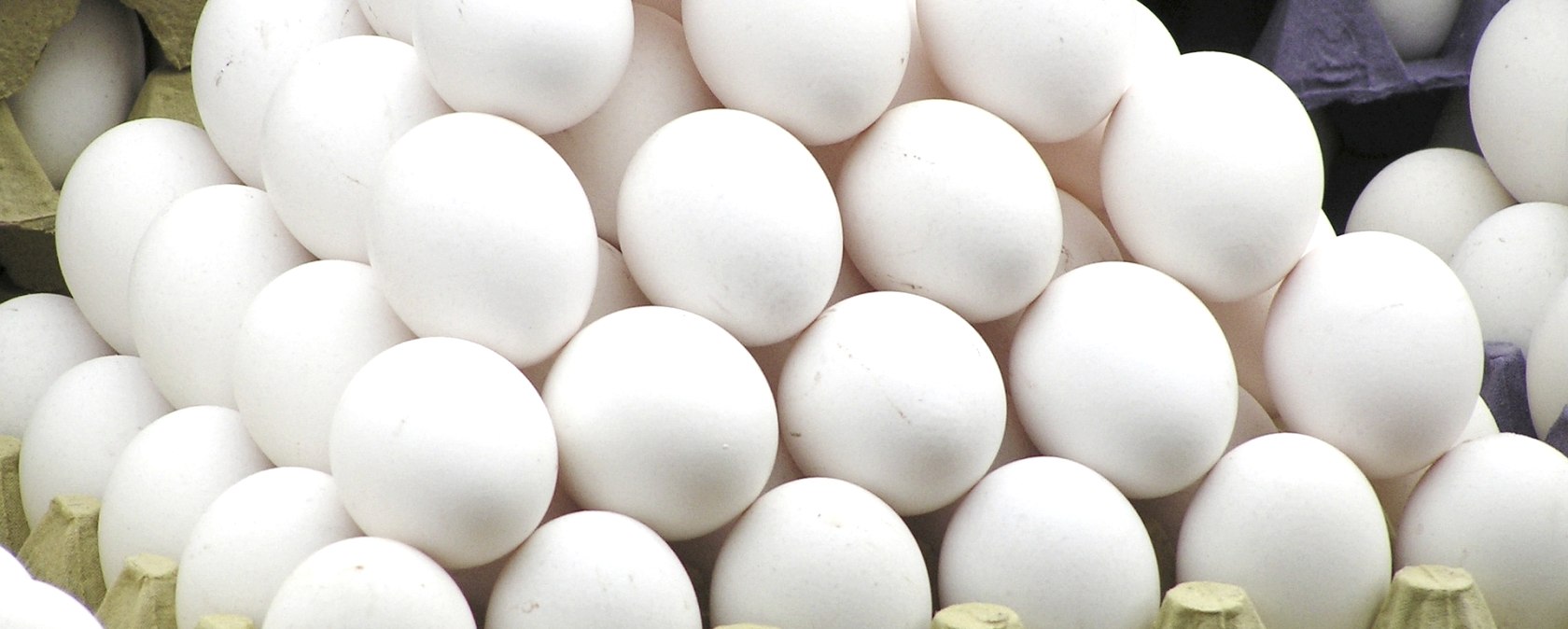 Eier Eier