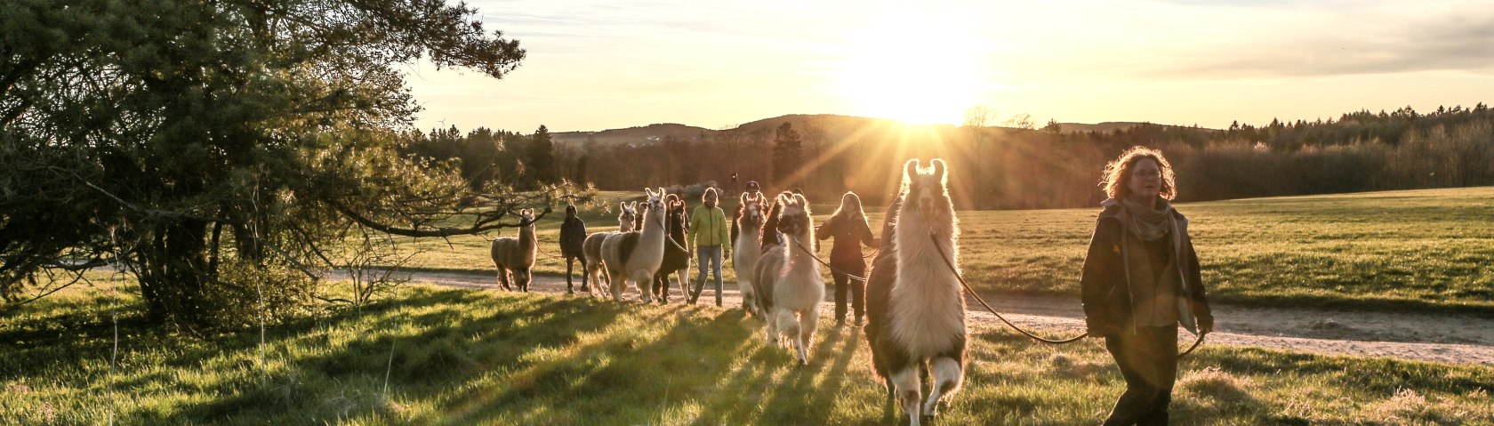 Eine Wanderung im Sonnenuntergang, © nomad Eine Wanderung im Sonnenuntergang, © nomad