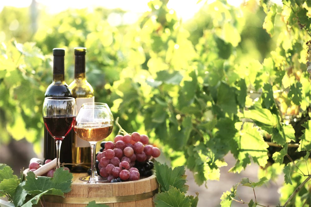 Wein Wein