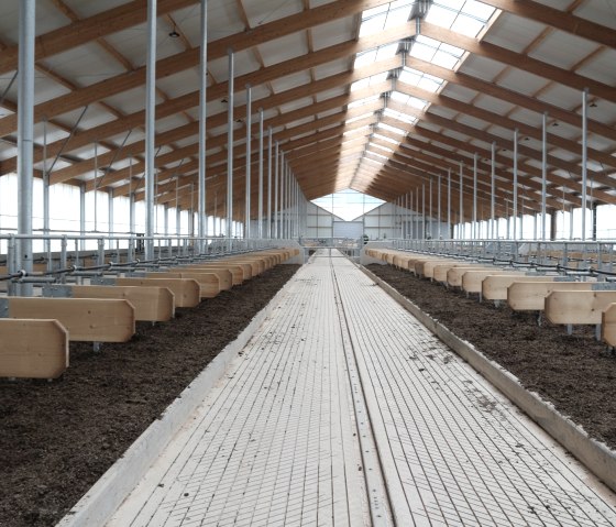 Projekt Hoferweiterung, © Billigen Ingenieur- & Planungsbüro Projekt Hoferweiterung, © Billigen Ingenieur- & Planungsbüro