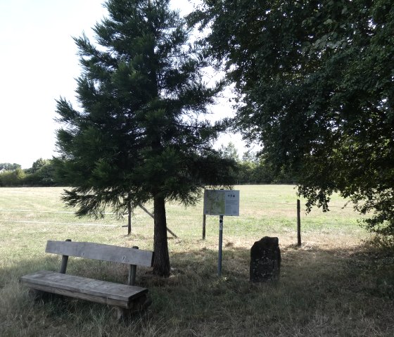 Eine Holzbank steht neben einem Baum und einem Informationsschild auf einem Wanderweg. Im Hintergrund ist eine Wiese zu sehen., © TI Bitburger Land Eine Holzbank steht neben einem Baum und einem Informationsschild auf einem Wanderweg. Im Hintergrund ist eine Wiese zu sehen., © TI Bitburger Land