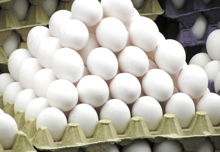 Eier Eier