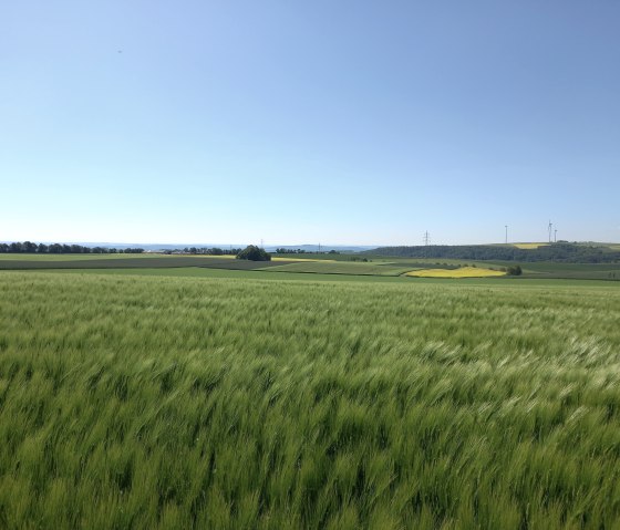 Felder vom Gertrudenhof, © RME/Tobias Fuchs