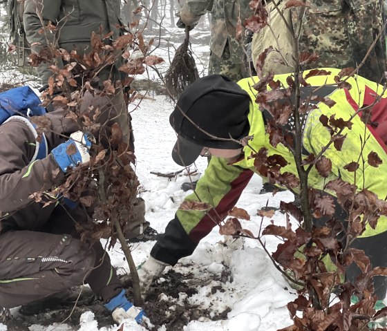 Die Raiffeisen Bank Eifel pflanzt regelm&auml;&szlig;ig B&auml;ume, &copy; Raiffeisenbank Eifel eG
