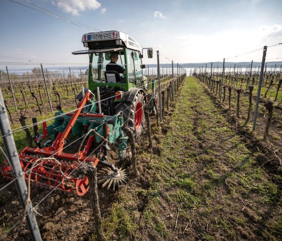 clemens-6, &copy; Clemens Technologies GmbH &amp; Co. KG