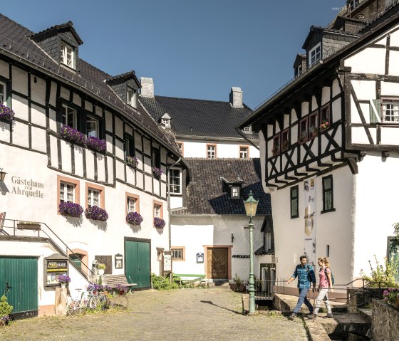 Ahrquelle Blankenheim, &copy; Eifel Tourismus GmbH, Dominik Ketz