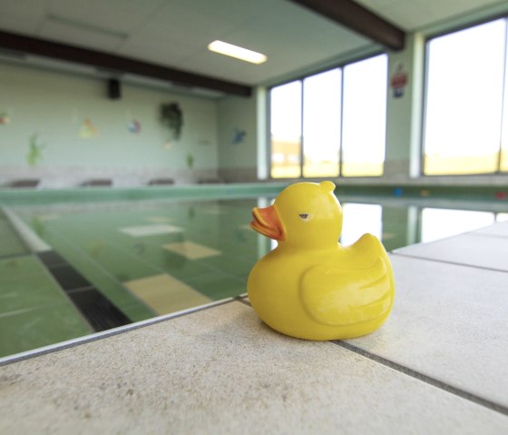 Badeente Schwimmerbecken, &copy; Gemeinde Simmerath