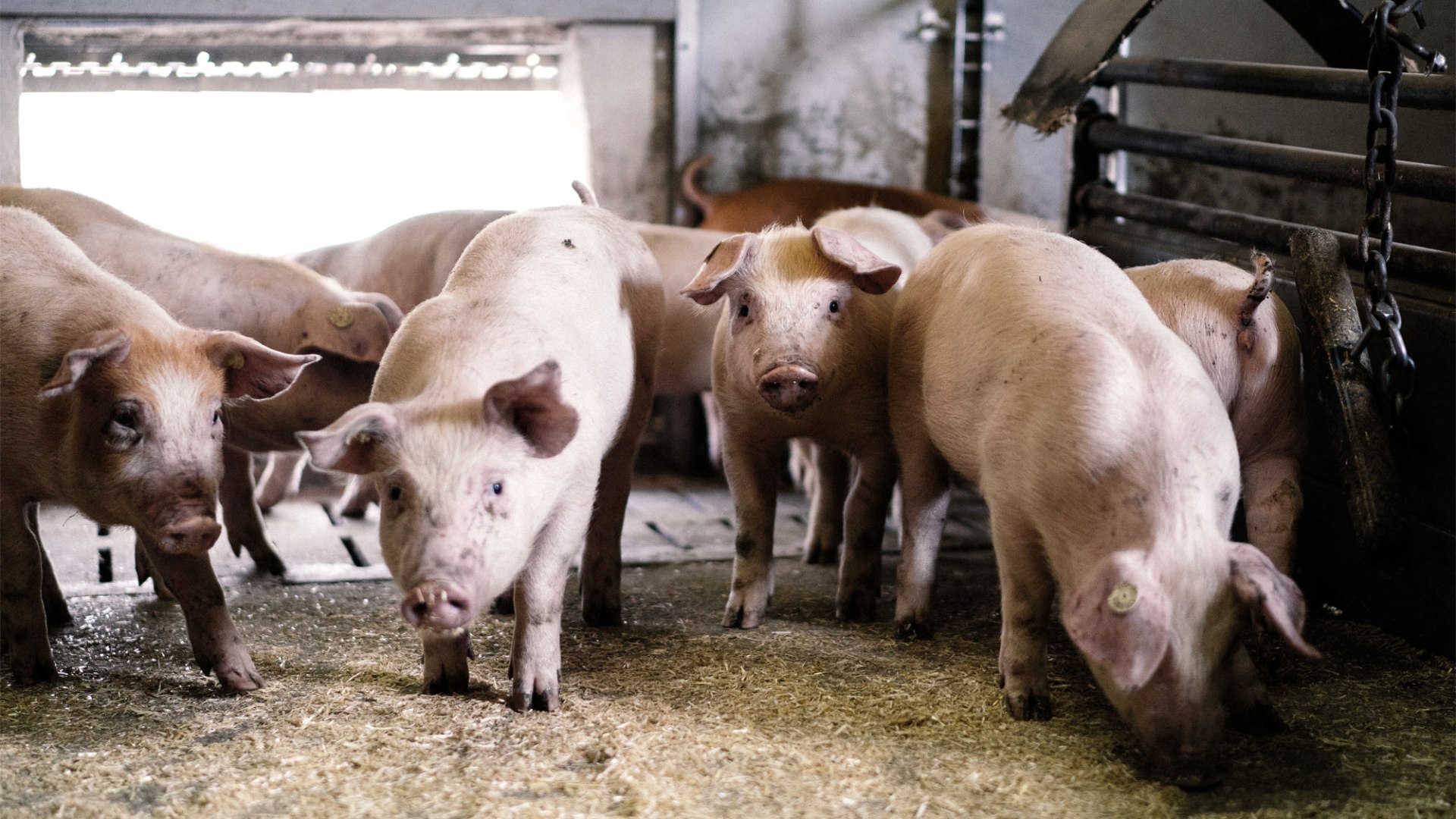Platz zum Laufen und Spielen, &copy; Zukunftsinitiative Eifel (c) Lars May