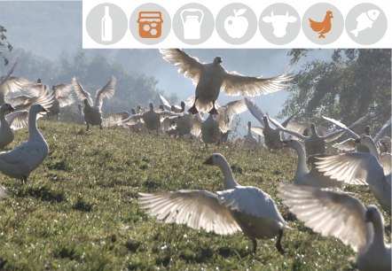 Becker Naturprodukte