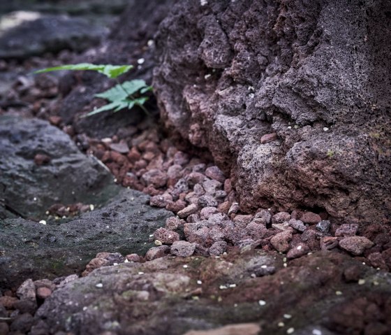 Lavagestein, &copy; Jannik Hammes Fotografie