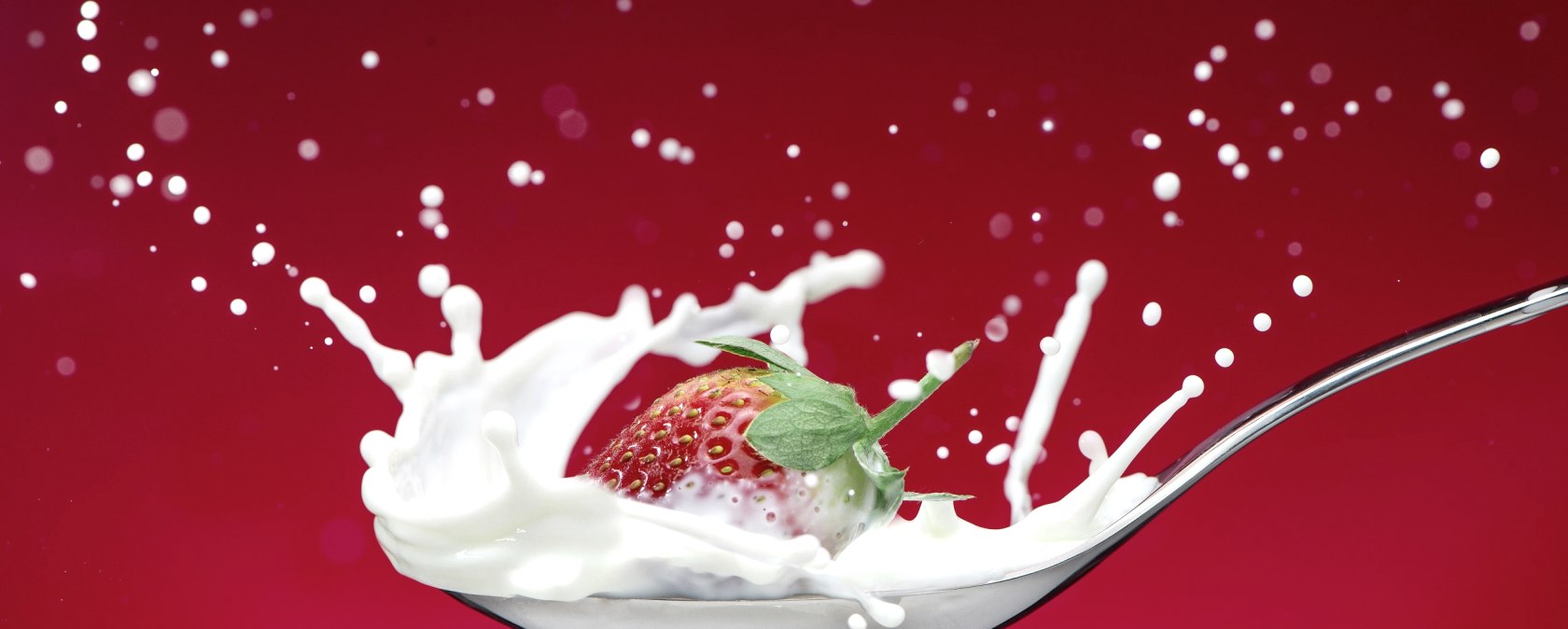 Foodfotografie, &copy; Markus Roeb Fotografie und Design