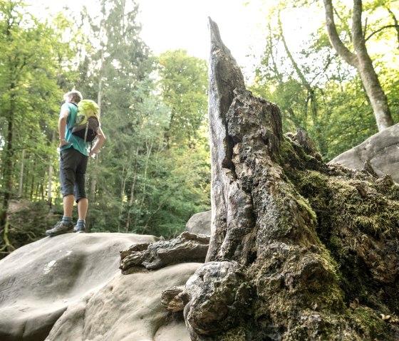 Irreler Wasserfälle, © Eifel Tourismus GmbH/Dominik Ketz