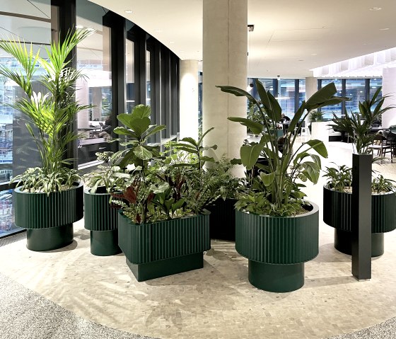 Pflanzen ben&ouml;tigen Mineral- und Pflanzsubstrate f&uuml;r ihr Wachstum, &copy; KLANZ