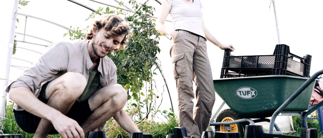 Garten Idem - Anzucht, &copy; Garten Idem