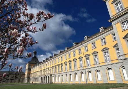 Universit&auml;t-Bonn, &copy; Frank Luerweg