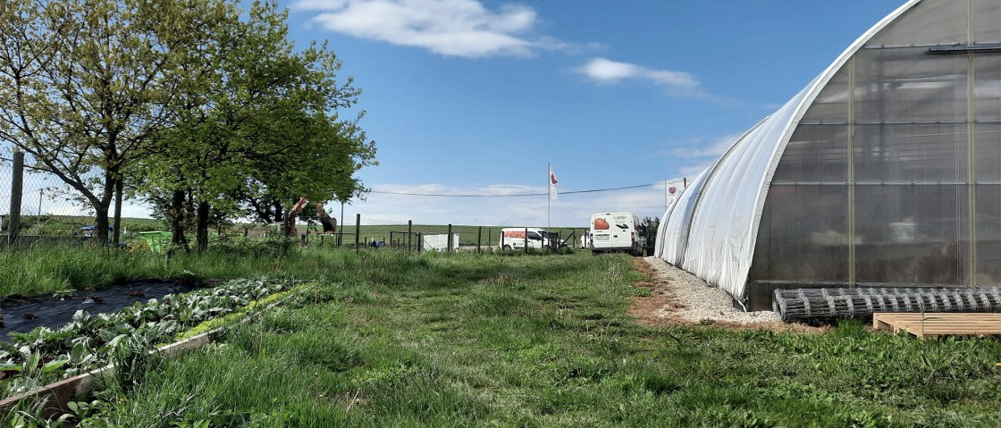 S&uuml;deifeler Markthalle, &copy; Eifel Tourismus
