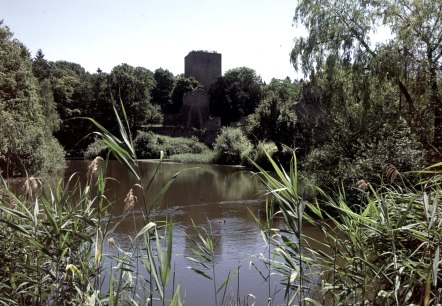 Ein Teich mit Schilf im Vordergrund, dahinter eine Burgruine umgeben von B&auml;umen. Klarer Himmel im Hintergrund., &copy; Wandermagazin/ N. Glatter