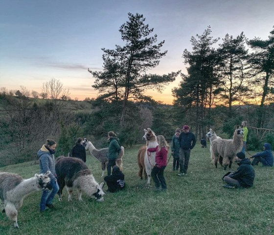 Eine Pause bei einer Lamawanderung, &copy; nomad