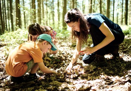 Kindern lernen im Wald, &copy; Waldakademie