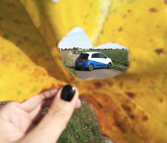 Fahrzeug des mobilen Pflegedienstes, &copy; Marienborn gGmbH