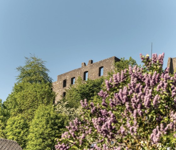 Blick auf die Burgruine Ulmen, &copy; GesundLand Vulkaneifel/D. Ketz
