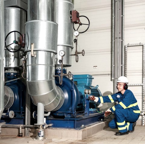 SNE_Mayen, &copy; FWM/Basile