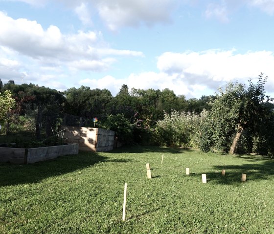DSC01620