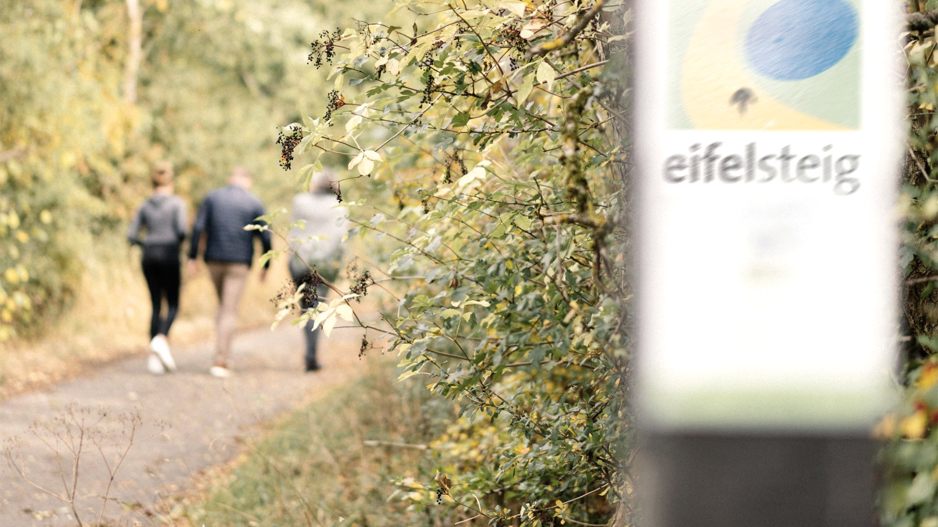 Wandern Gerolstein, © Zukunftsinitiative Eifel (c) Lars May