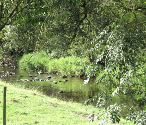 Antweiler Wiesen, &copy; Tourist-Information Hocheifel-N&uuml;rburgring