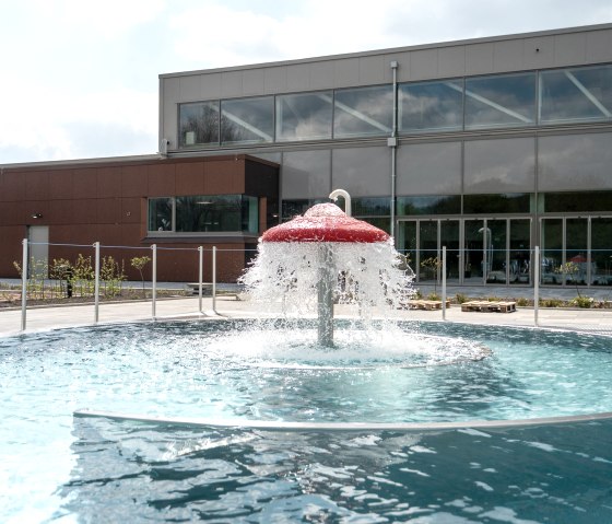 Pilz, &copy; &copy; new media laps